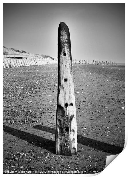 Beach Totem Print by Richard Peck