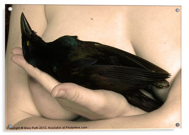 Portrait with Grackle Acrylic by Mary Rath