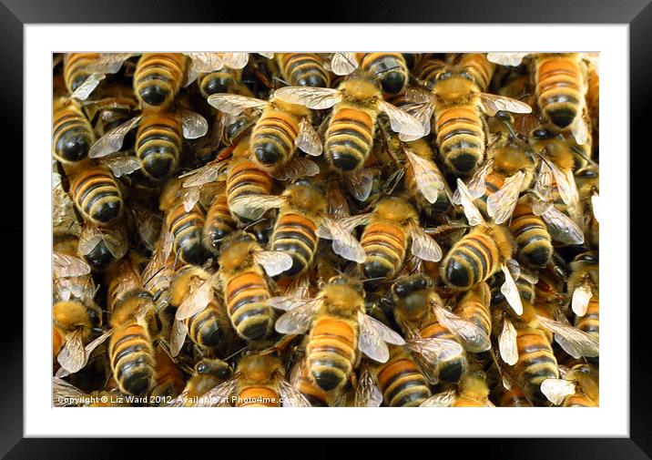 Bee Have yourself Framed Mounted Print by Liz Ward