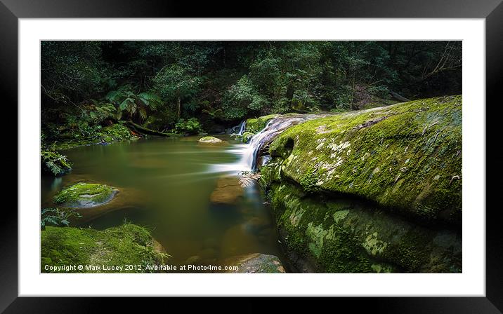 Bush Rock Garden Framed Mounted Print by Mark Lucey