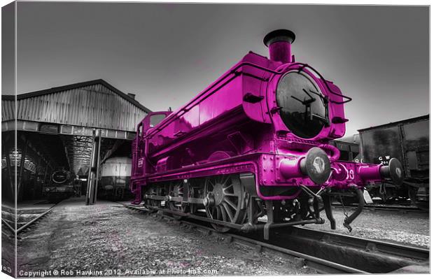 The Pink Pannier Canvas Print by Rob Hawkins