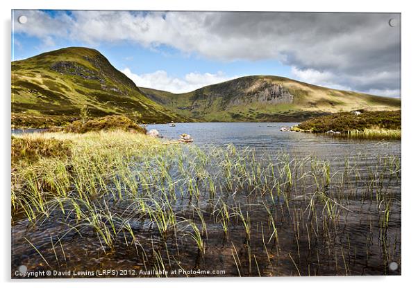 Loch Skeen Acrylic by David Lewins (LRPS)