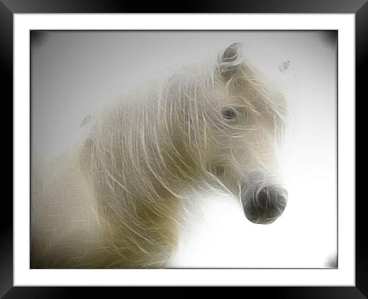 Spirit of a Horse Framed Mounted Print by Debra Kelday