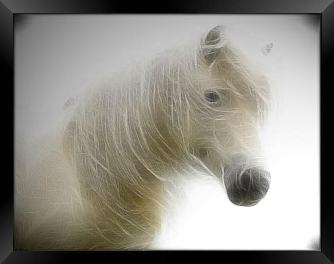 Spirit of a Horse Framed Print by Debra Kelday