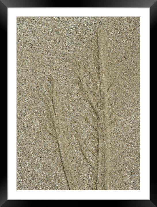 Patterns in the Sand Framed Mounted Print by J Lloyd