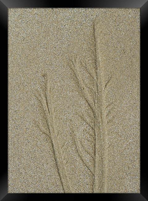 Patterns in the Sand Framed Print by J Lloyd