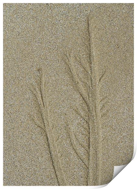 Patterns in the Sand Print by J Lloyd