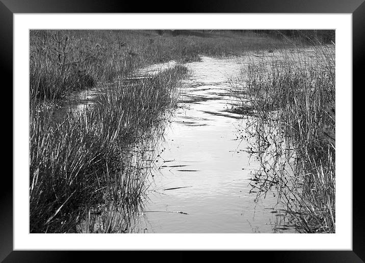 Silver reflections Framed Mounted Print by Ian Middleton