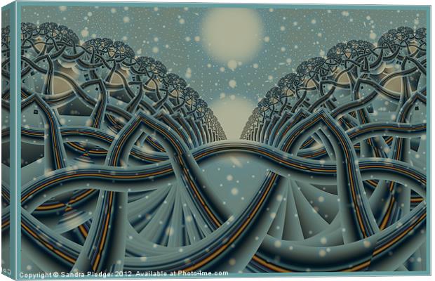 Celtic Winter Forest Canvas Print by Sandra Pledger