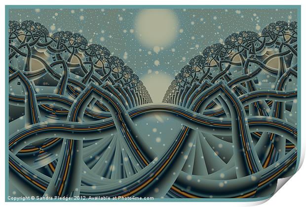 Celtic Winter Forest Print by Sandra Pledger