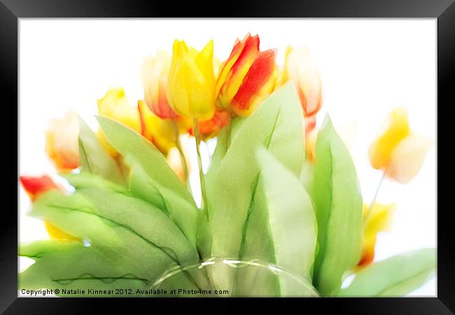 Blurry Blurry Tulips Framed Print by Natalie Kinnear