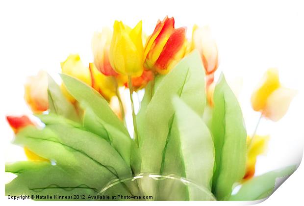 Blurry Blurry Tulips Print by Natalie Kinnear