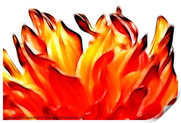 dahlia on fire Print by Jo Beerens