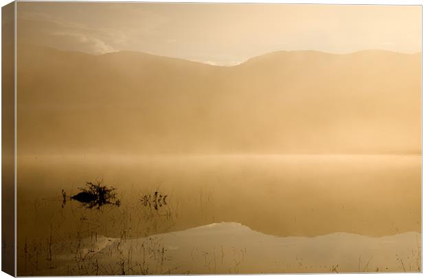 Misty reflections at sunrise Canvas Print by Ian Middleton