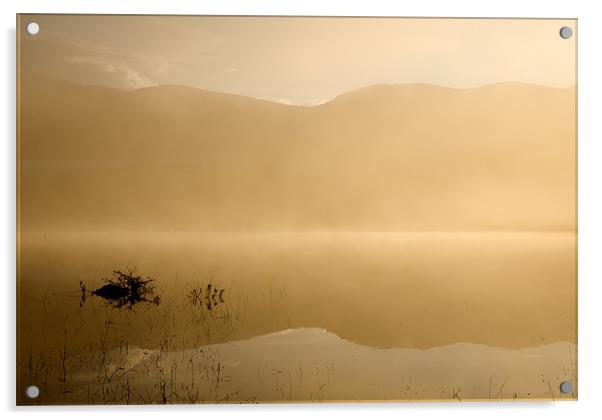 Misty reflections at sunrise Acrylic by Ian Middleton