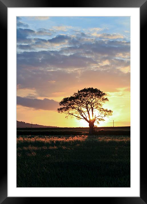 Sunset and Blue Skies Framed Mounted Print by Danny Thomas