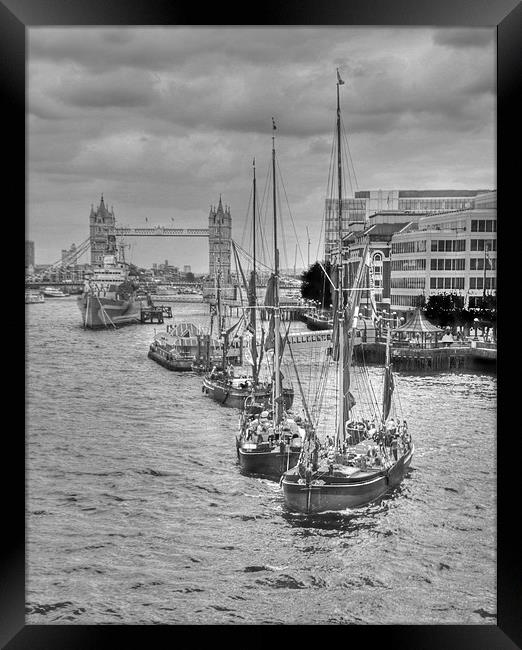 Thames Barges Tower Bridge 2012 Framed Print by David French