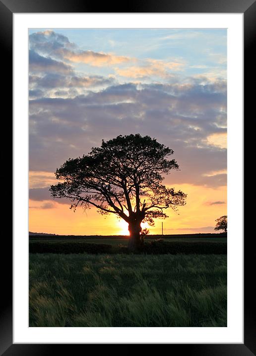 Shropshire Sunset Framed Mounted Print by Danny Thomas
