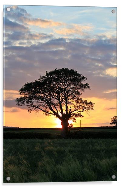 Shropshire Sunset Acrylic by Danny Thomas