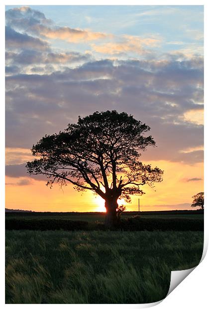 Shropshire Sunset Print by Danny Thomas