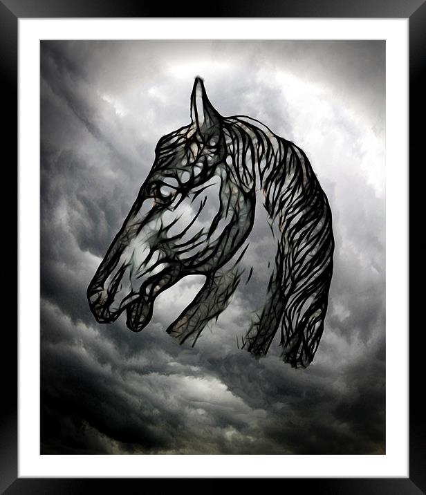 Dark Horse Framed Mounted Print by Debra Kelday