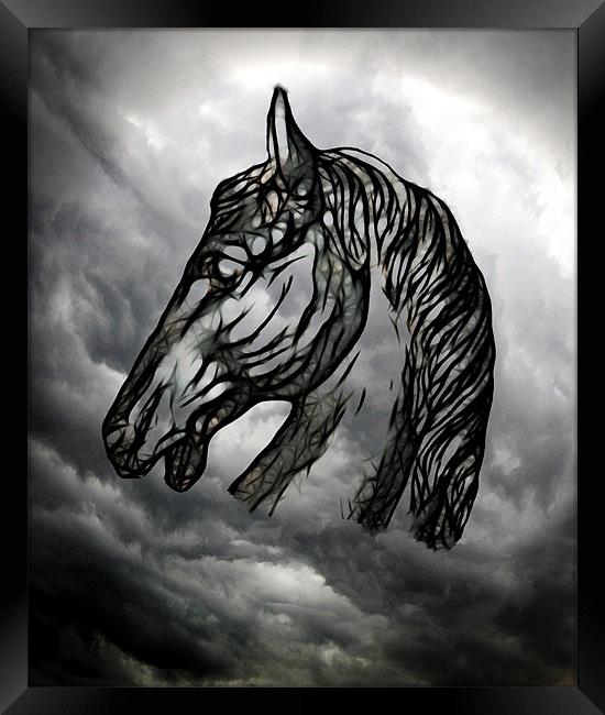 Dark Horse Framed Print by Debra Kelday