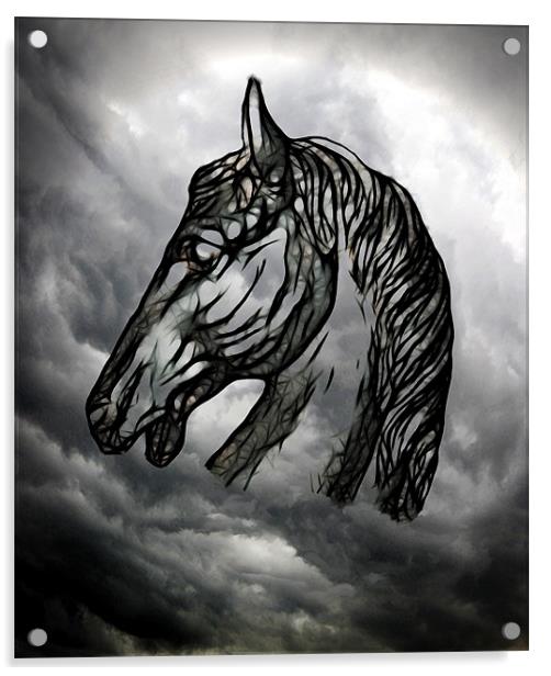 Dark Horse Acrylic by Debra Kelday