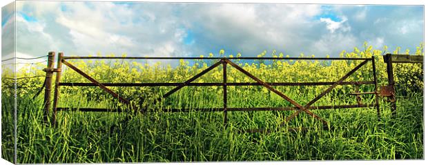 The rusty gate Canvas Print by Kevin Dobie