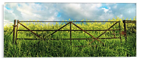 The rusty gate Acrylic by Kevin Dobie