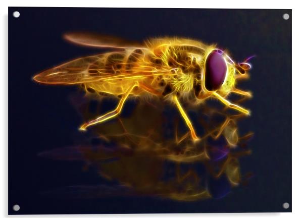 Electric Bee Acrylic by Mike Gorton