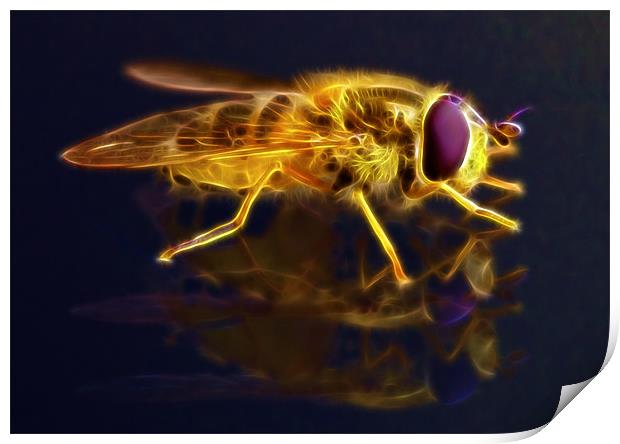 Electric Bee Print by Mike Gorton