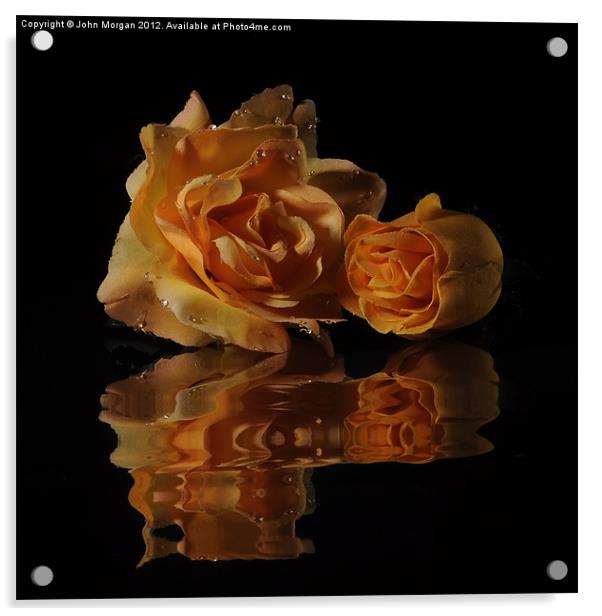 Roses. Acrylic by John Morgan