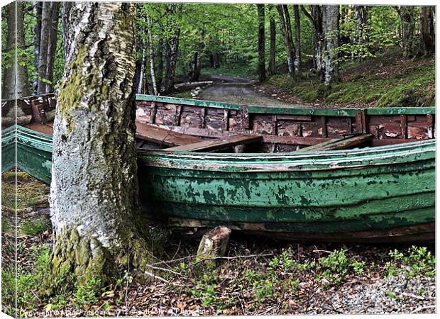 Woodland Boat Canvas Print by Mark Pritchard