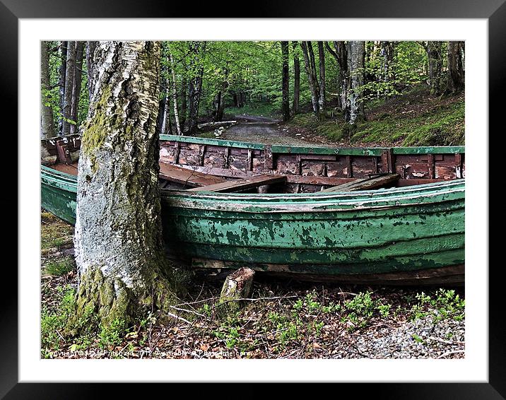 Woodland Boat Framed Mounted Print by Mark Pritchard