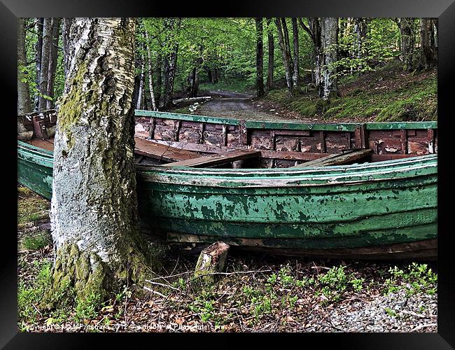 Woodland Boat Framed Print by Mark Pritchard