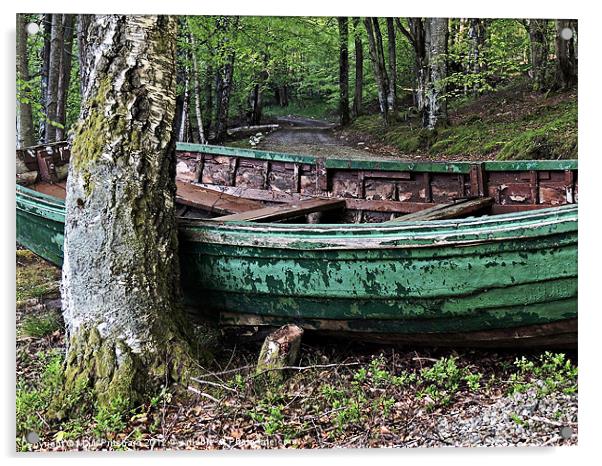 Woodland Boat Acrylic by Mark Pritchard
