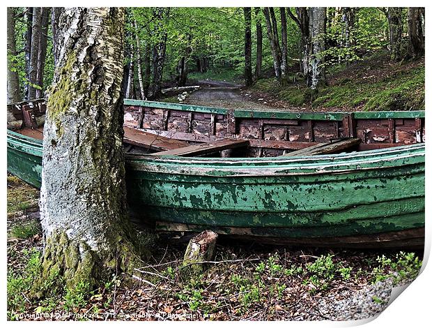 Woodland Boat Print by Mark Pritchard