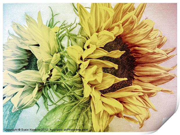 Rainbow Sunflowers Print by Susie Hawkins