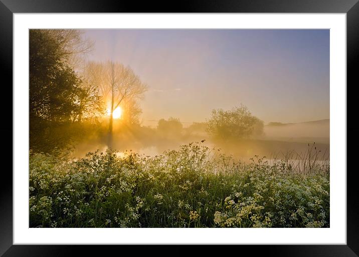 Misty Magic Framed Mounted Print by David Dean
