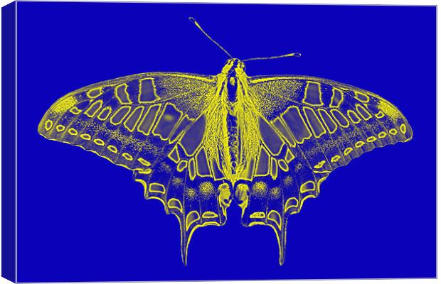 Digital Butterfly Canvas Print by Roger Green