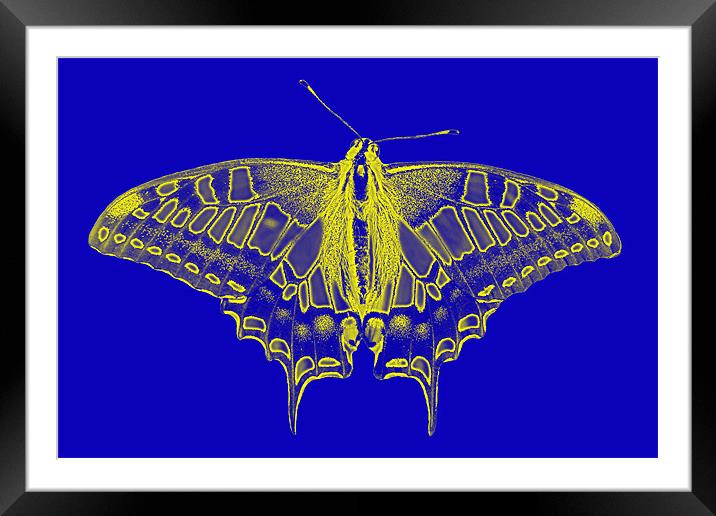 Digital Butterfly Framed Mounted Print by Roger Green