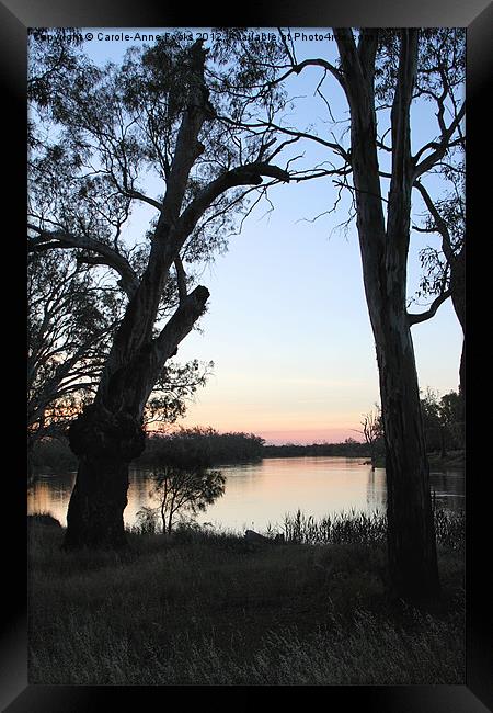 Murray River Sunset Series 2 Framed Print by Carole-Anne Fooks