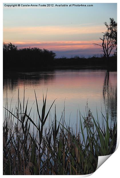 Murray River Sunset Series 2 Print by Carole-Anne Fooks
