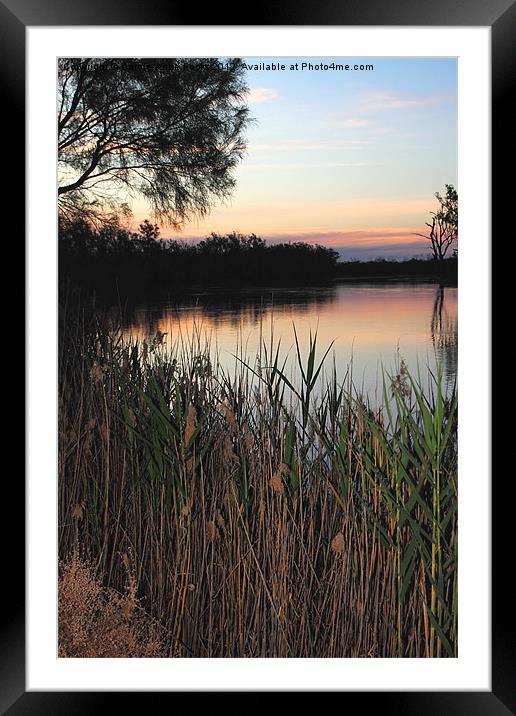 Murray River Sunset Series 2 Framed Mounted Print by Carole-Anne Fooks