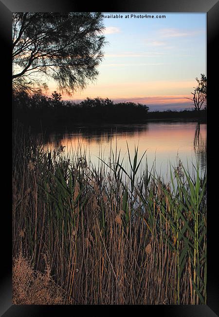 Murray River Sunset Series 2 Framed Print by Carole-Anne Fooks
