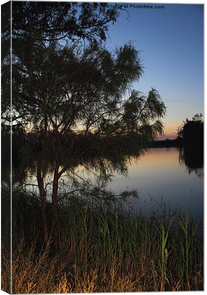 Murray River Sunset Series 2 Canvas Print by Carole-Anne Fooks