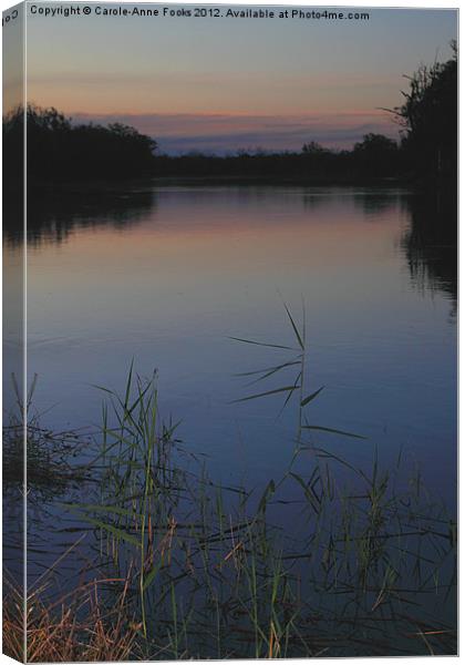 Murray River Sunset Series 2 Canvas Print by Carole-Anne Fooks