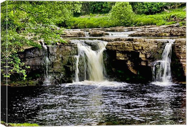 The Force Canvas Print by Trevor Kersley RIP