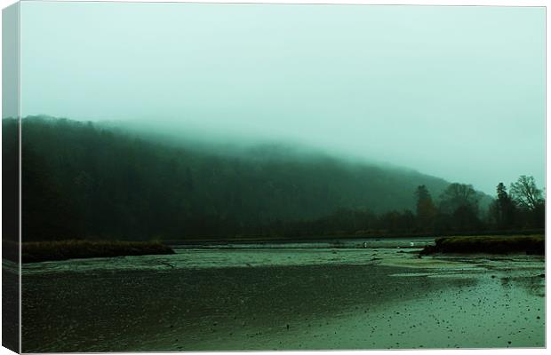 River bed Canvas Print by tom williams