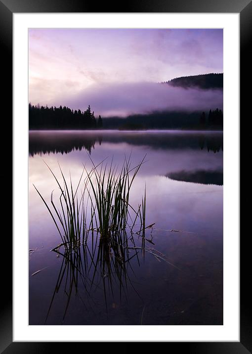 Twilight Glow  Framed Mounted Print by Mike Dawson